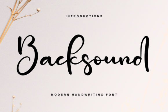 Backsound: A Stylish Handwritten Font for Business Branding
