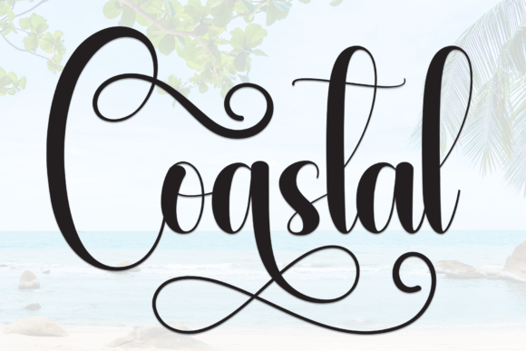 Coastal Font: A Script Amp Typeface for Real Business Branding
