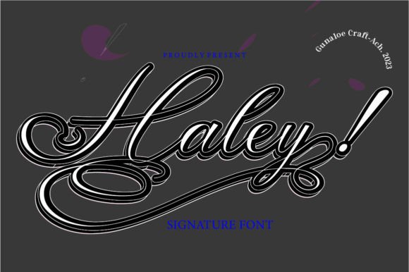 Haley: A Designer’s Take on Real-World Use