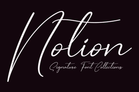 Notion: A Designer’s Take on This Script Display Font