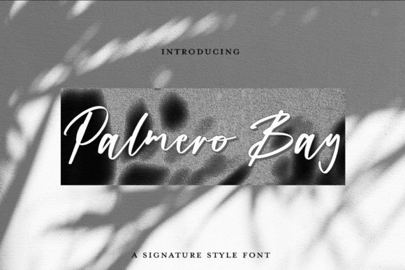 Palmero Bay: Elevating Brand Identity with a Signature Script Font