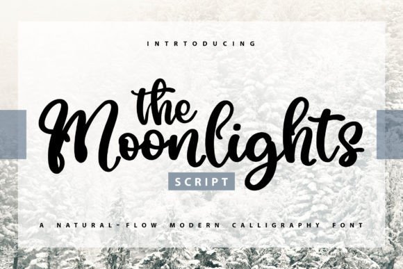 The Moonlights: A Handwritten Script Font for Modern Editorial Design